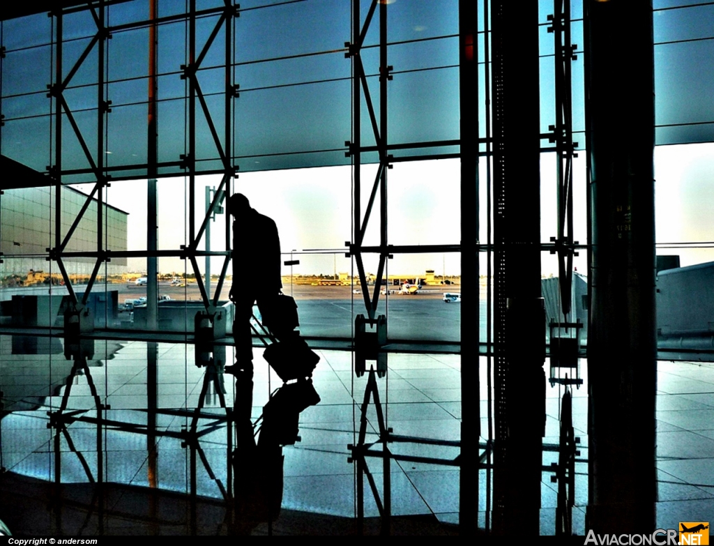 LEBL - Terminal - Aeropuerto