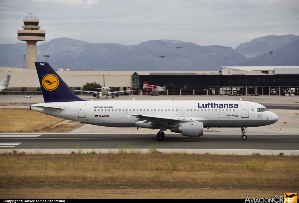 D-AIQW - Airbus A320-211 - Lufthansa