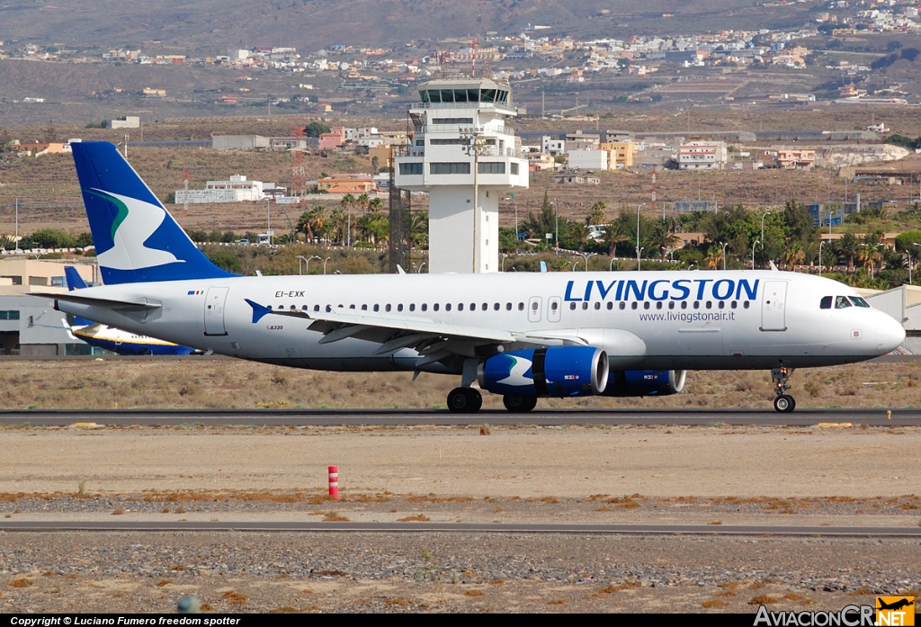 EI-EXK - Airbus A320-214 - Livingston