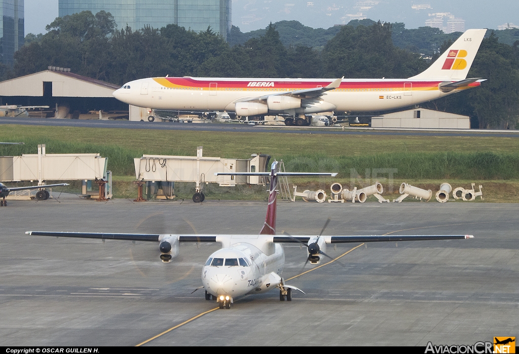 HR-AXN - ATR 42-300 - TACA Regional Airlines (Isleña Airlines)