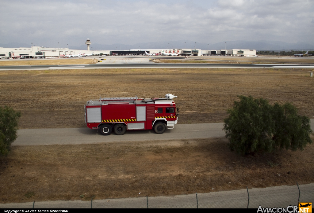 LEPA - Terminal - Aeropuerto