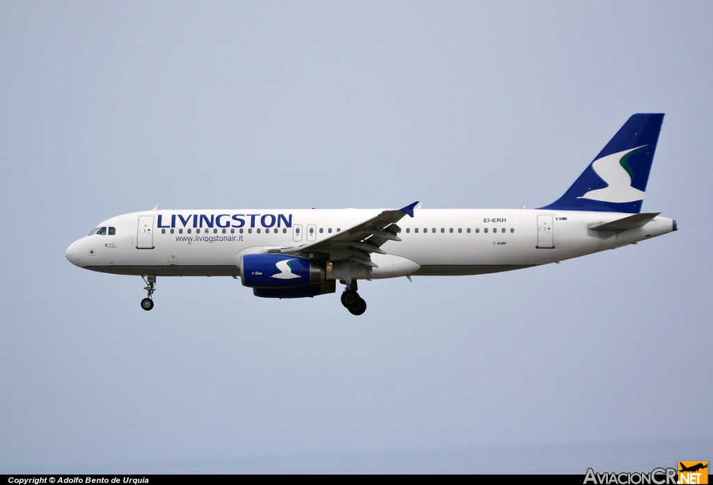 EI-ERH - Airbus A320-232 - Livingston