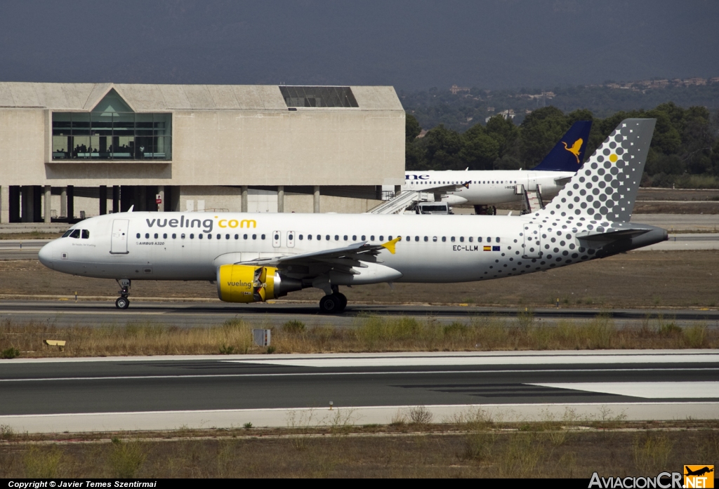 EC-LLM - Airbus A320-214 - Vueling