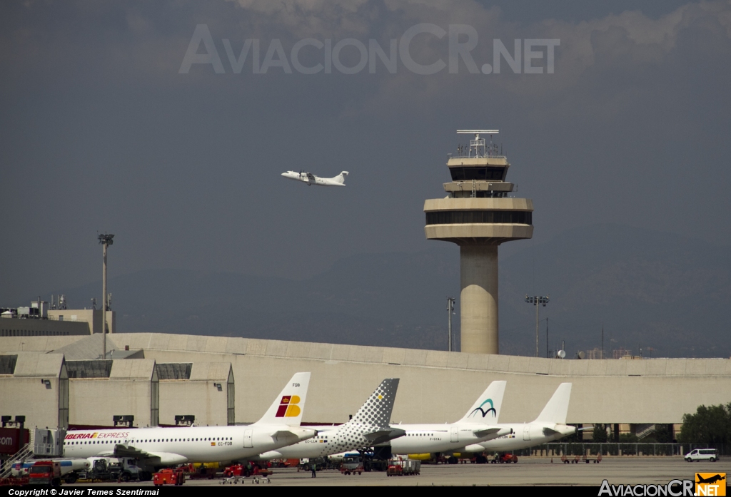 LEPA - Terminal - Aeropuerto