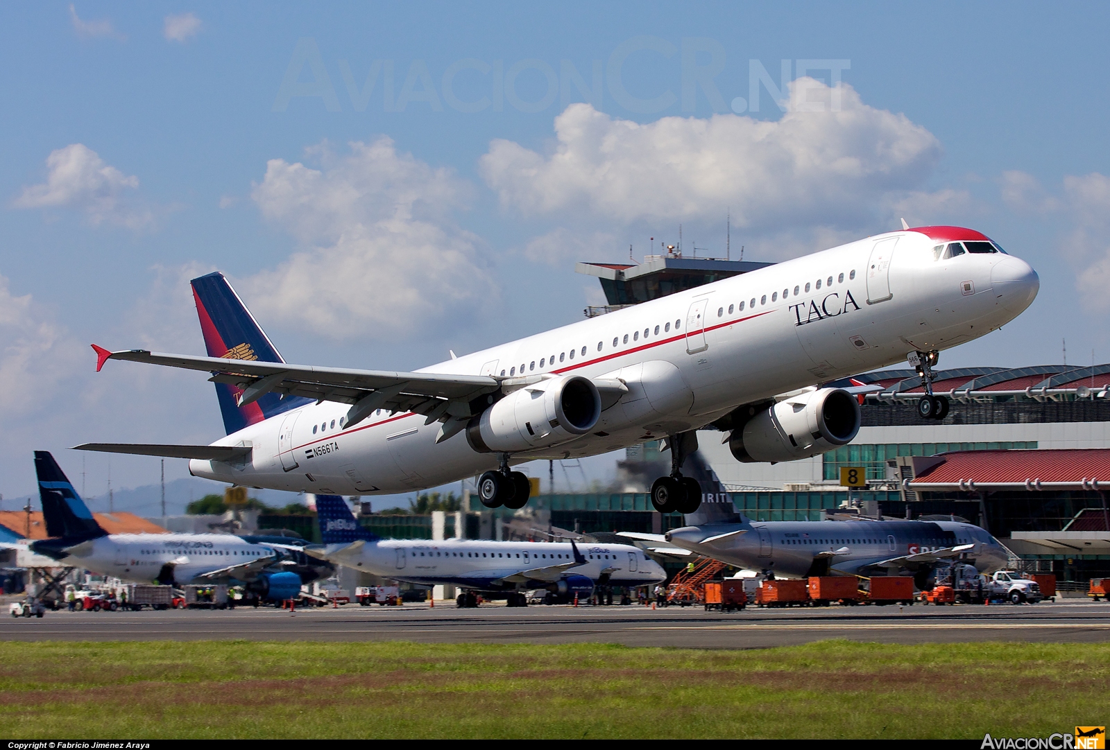 N566TA - Airbus A321-231 - TACA