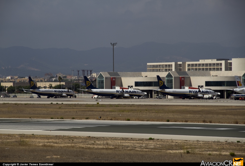 LEPA - Terminal - Aeropuerto