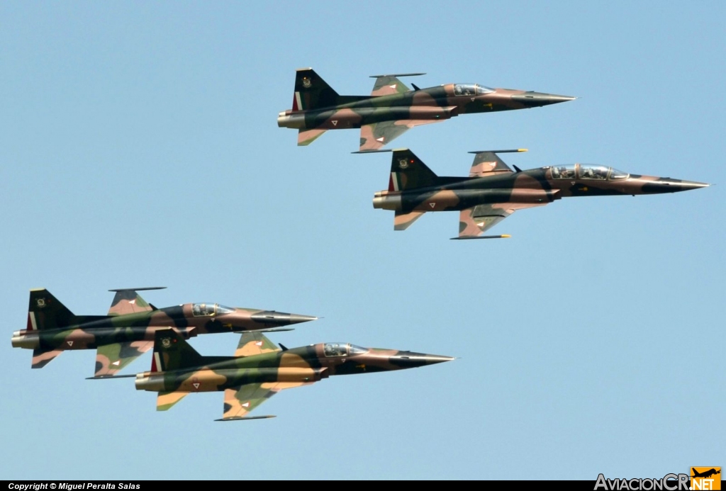 4510 - Northrop F-5E Tiger II - Fuerza Aerea Mexicana FAM