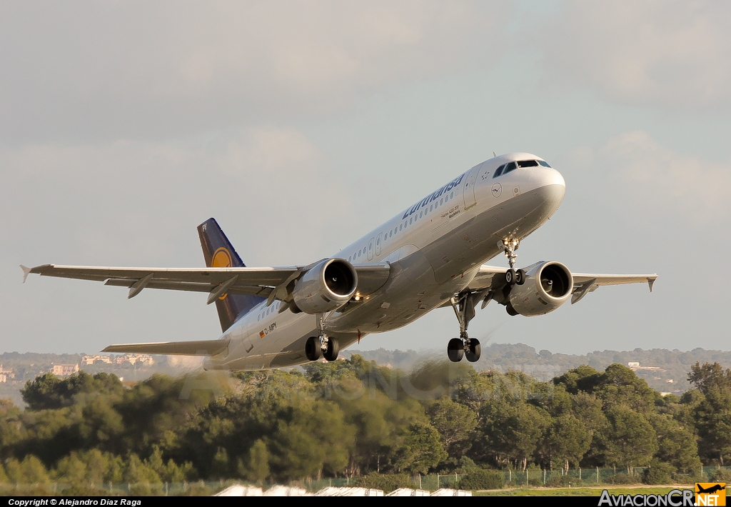 D-AIPY - Airbus A320-211 - Lufthansa