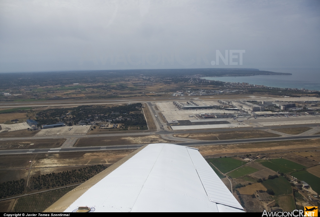 LEPA - Terminal - Aeropuerto