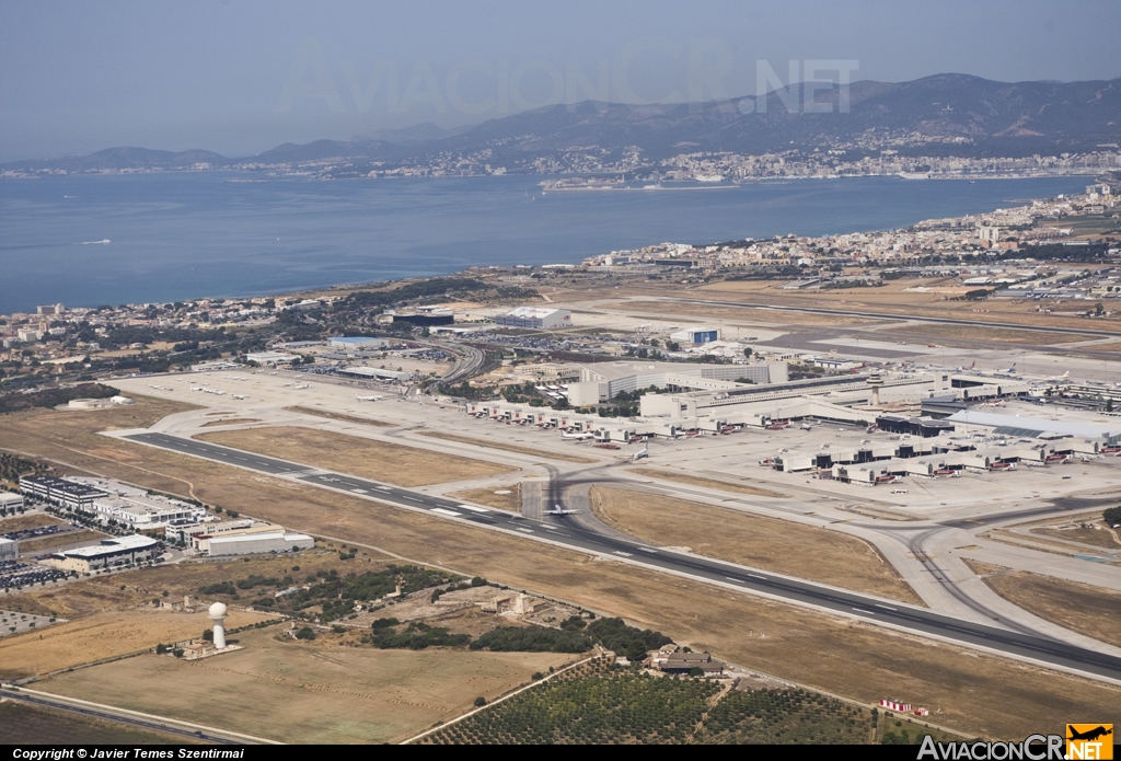 LEPA - Terminal - Aeropuerto