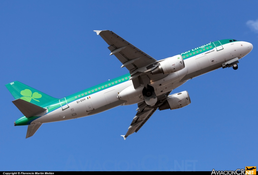 EI-DVH - Airbus A320-214 - Aer Lingus