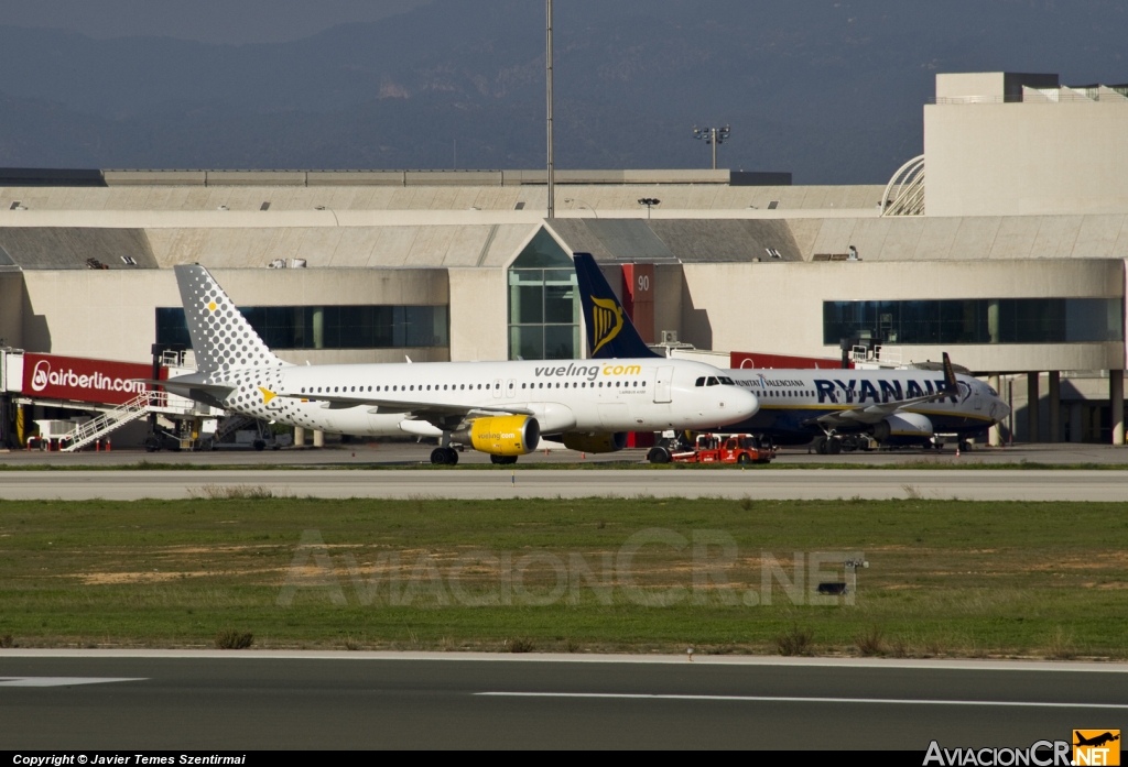 LEPA - Terminal - Aeropuerto