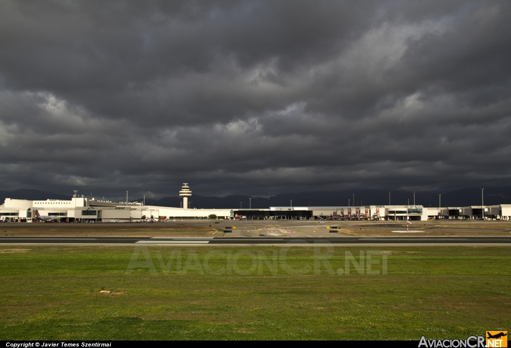 LEPA - Terminal - Aeropuerto