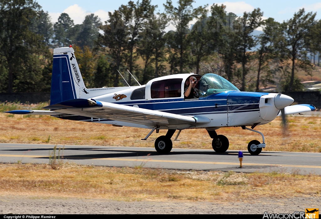 TI-ALQ - Grumman American AA-5B Tiger - AENSA