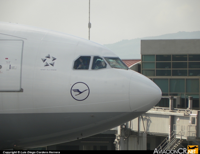 D-AIFF - Airbus A340-313X - Lufthansa