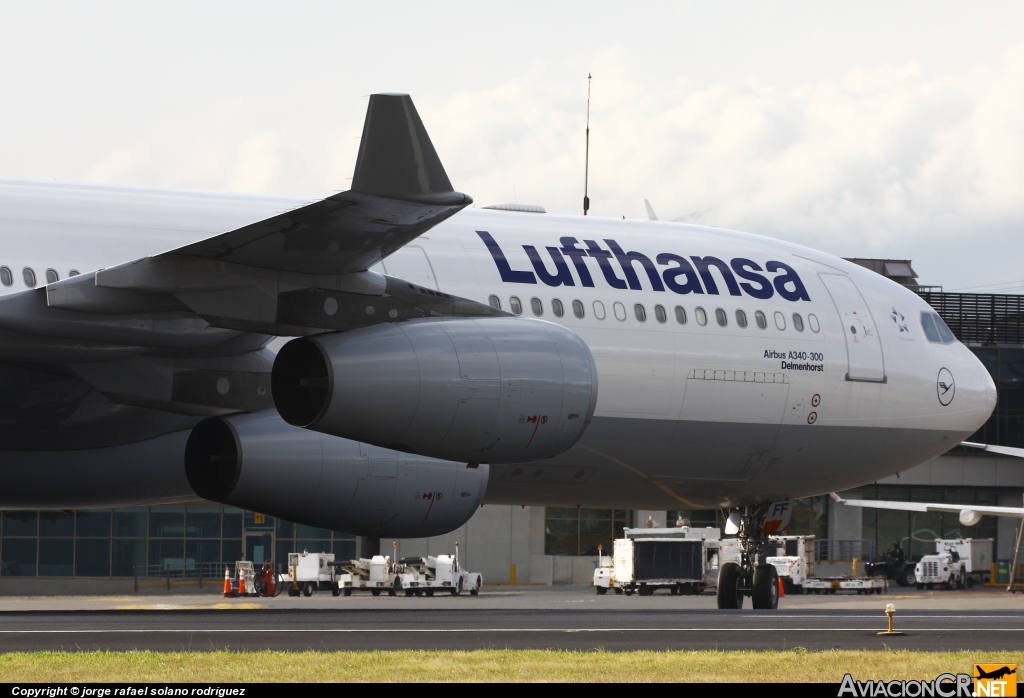 D-AIFF - Airbus A340-313X - Lufthansa