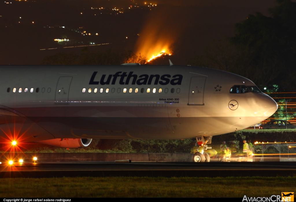 D-AIFF - Airbus A340-313X - Lufthansa