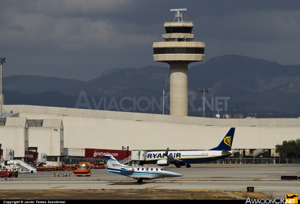 LEPA - Terminal - Aeropuerto