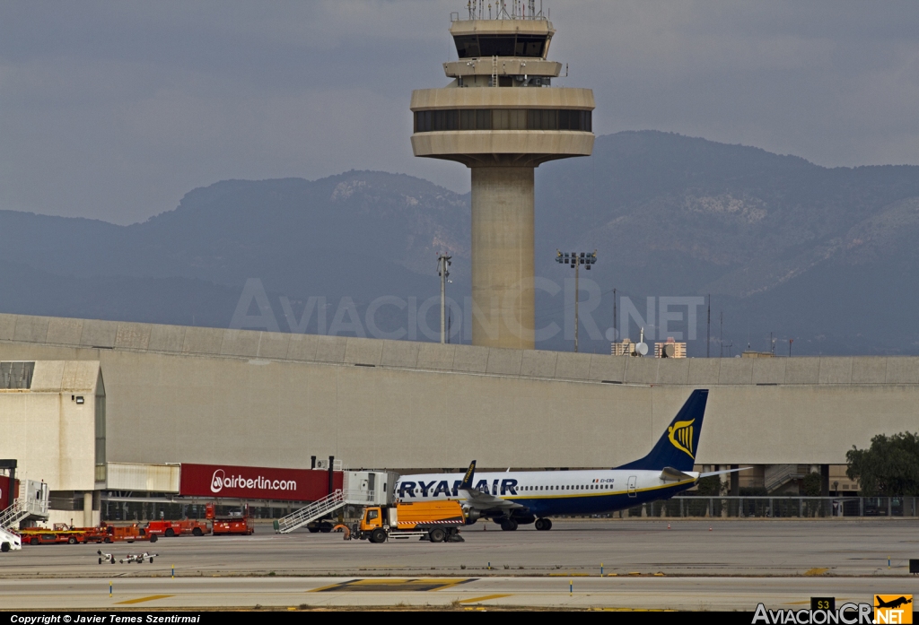 LEPA - Terminal - Aeropuerto