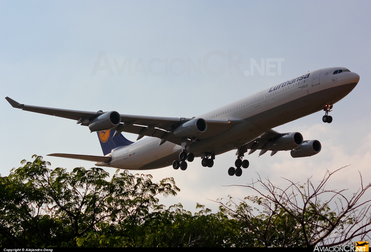 D-AIFF - Airbus A340-313X - Lufthansa