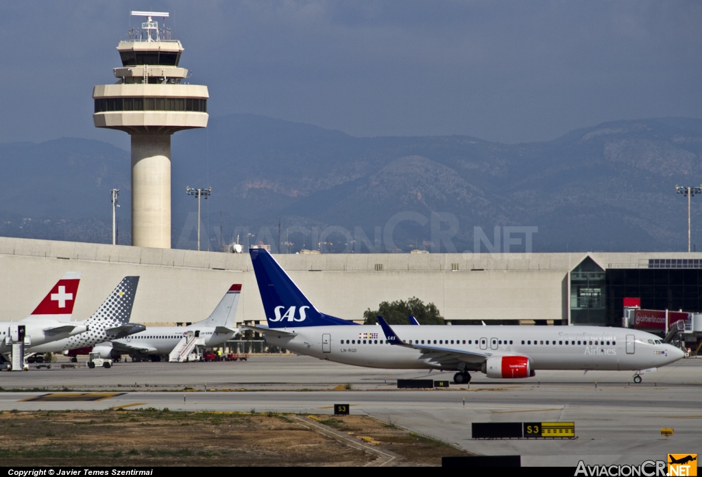 LEPA - Terminal - Aeropuerto