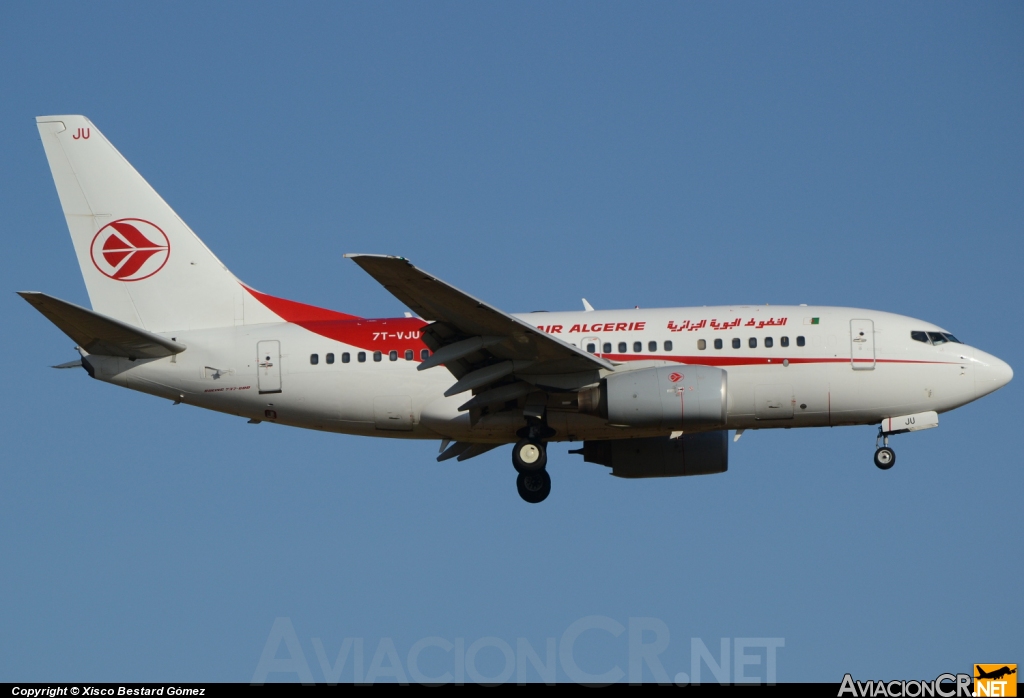 7T-VJU - Boeing 737-6D6 - Air Algerie