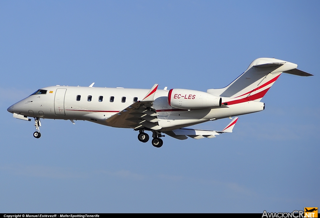 EC-LES - bombardier-BD-100-1A10 Challenger 300 - TAG-aviation