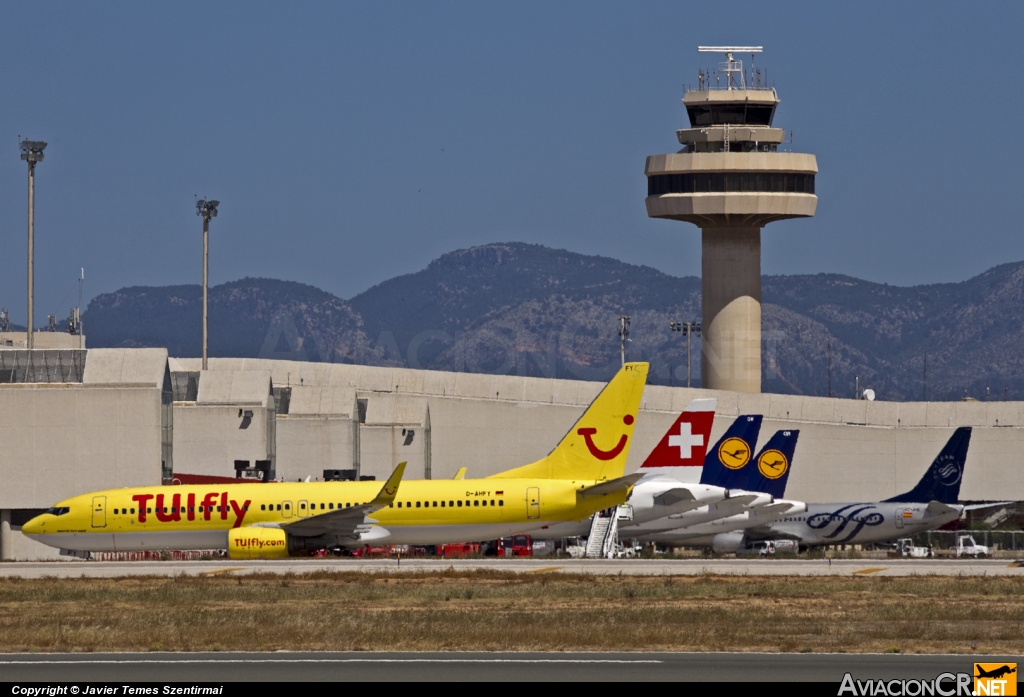 LEPA - Terminal - Aeropuerto