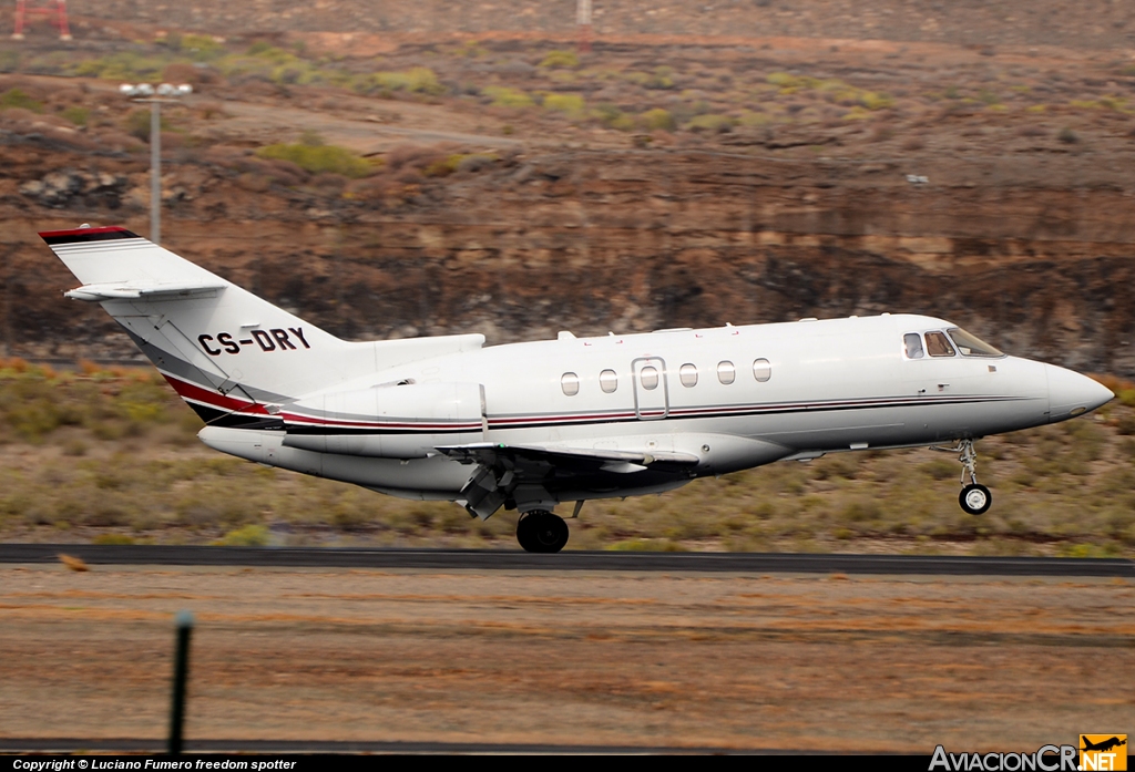 CS-DRY - Raytheon Hawker 800XP - NetJets Europe