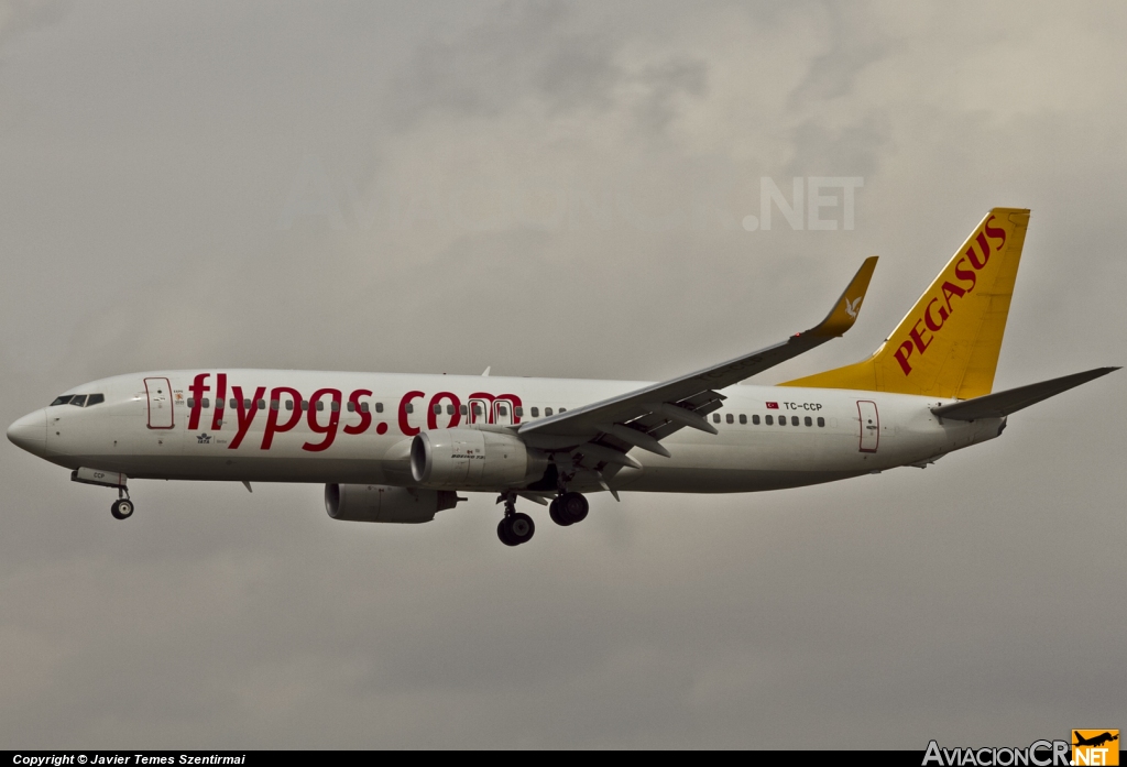 TC-CCP - Boeing 737-86J/W - Pegasus Airlines