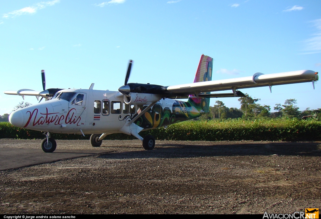 TI-BFO - De Havilland Canada DHC-6-300 Twin Otter/VistaLiner - Nature Air