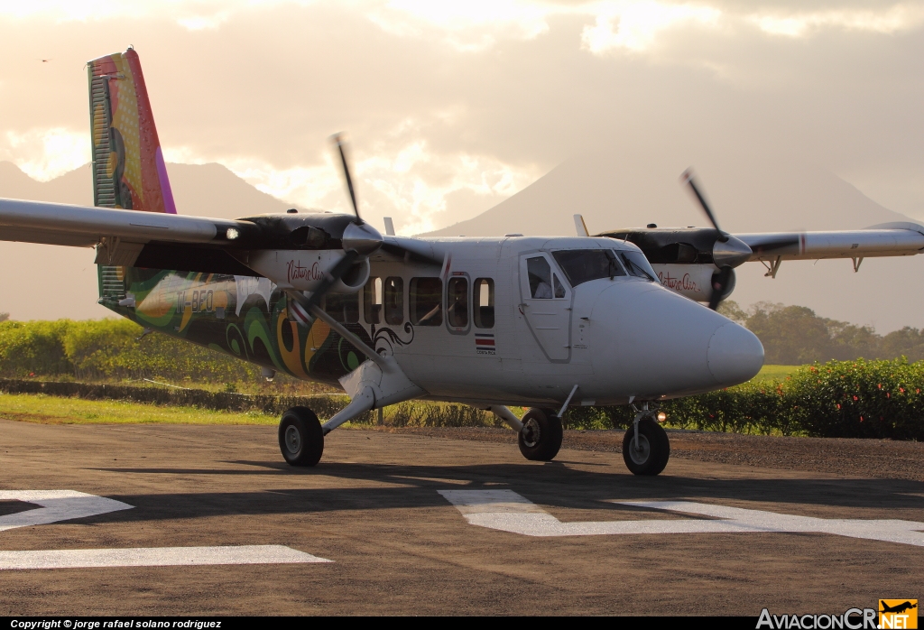 TI-BFO - De Havilland Canada DHC-6-300 Twin Otter/VistaLiner - Nature Air