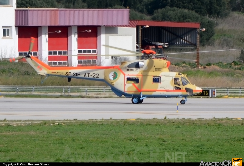 SP-SIF - PZL Sokol - Argel-Fuerza Aerea