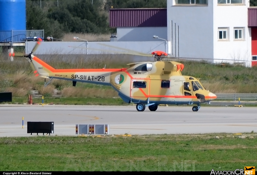 SP-SII - PZL Sokol - Argel-Fuerza Aerea