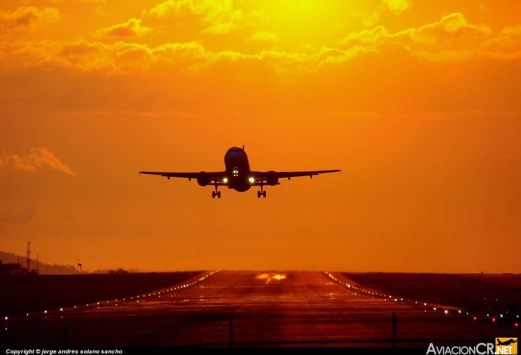 N990TA - Airbus A319-112 - TACA