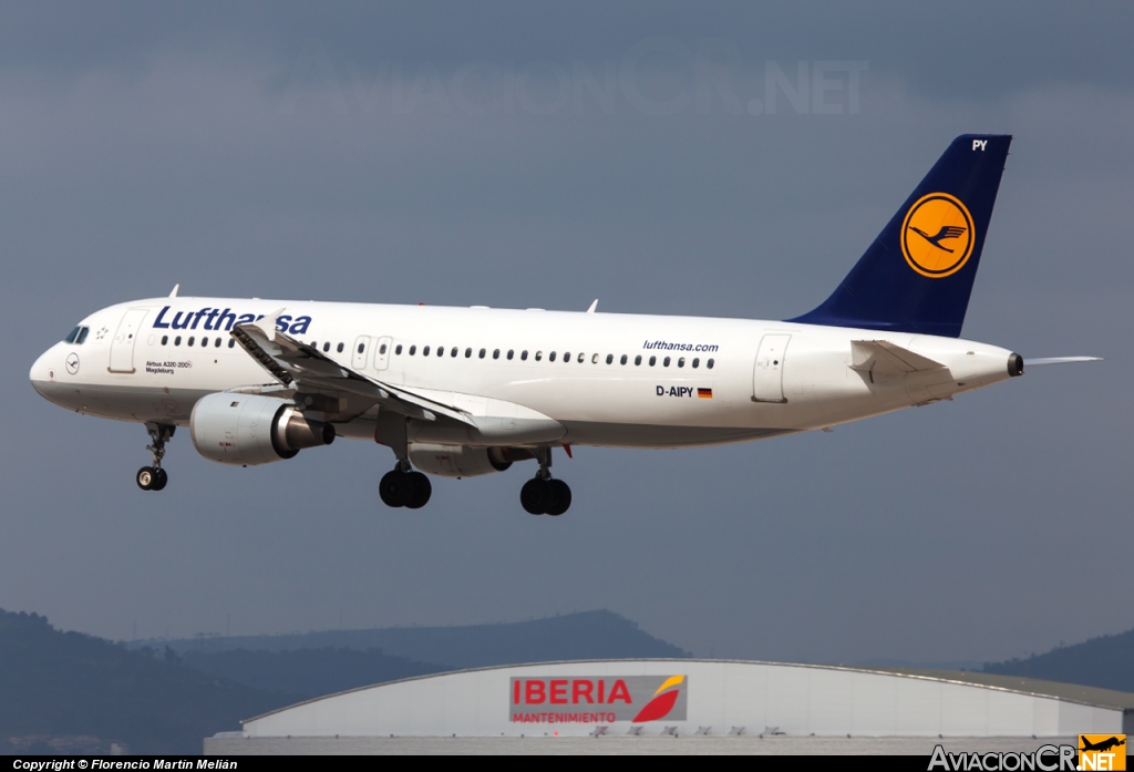 D-AIPY - Airbus A320-211 - Lufthansa