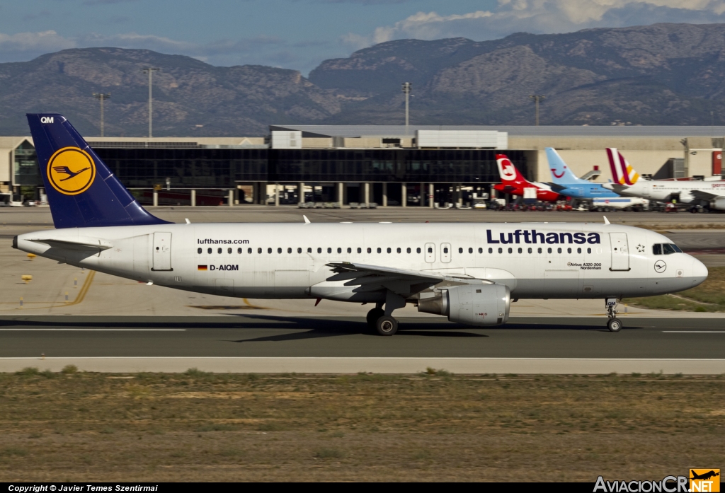D-AIQM - Airbus A320-211 - Lufthansa