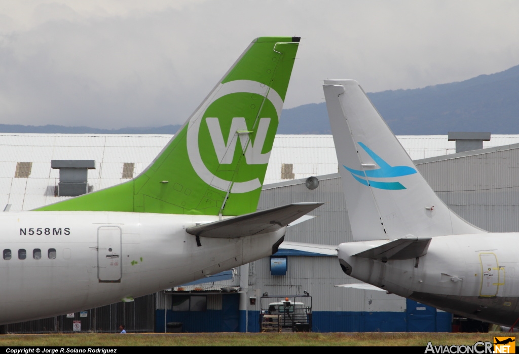 N558MS - Boeing 737-36N - Webjet Linhas Aéreas