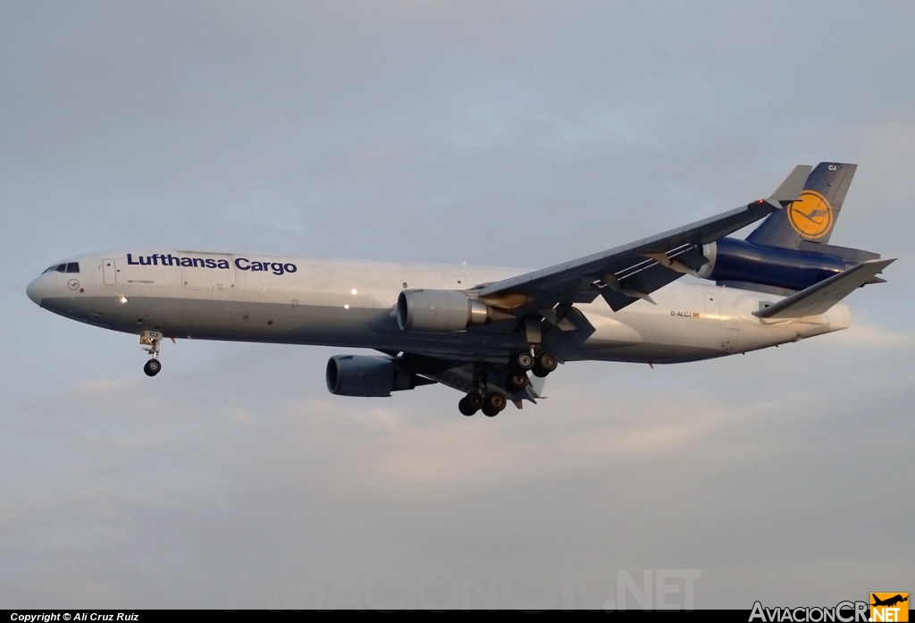 D-ALCJ - McDonnell Douglas MD-11F - Lufthansa Cargo