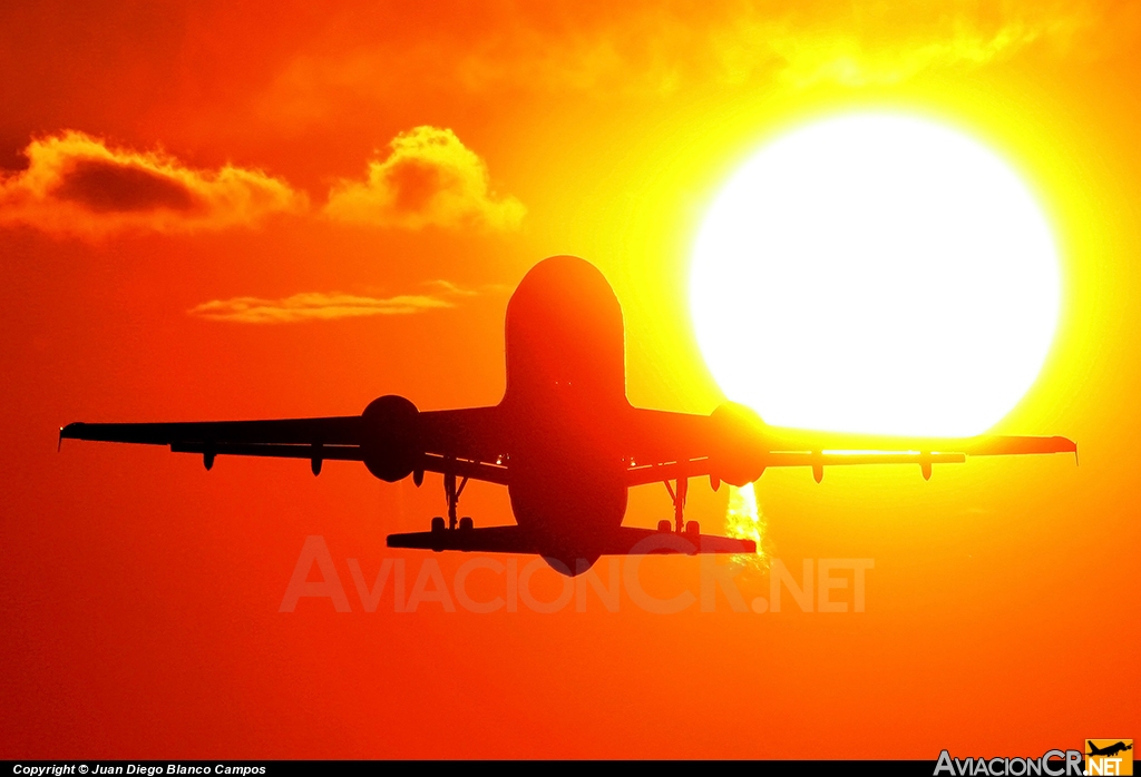 N683TA - Airbus A320-233 - TACA