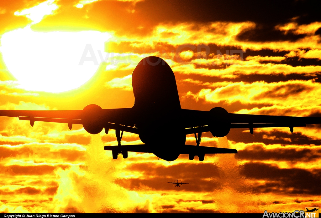 N991TA - Airbus A319-112 - TACA