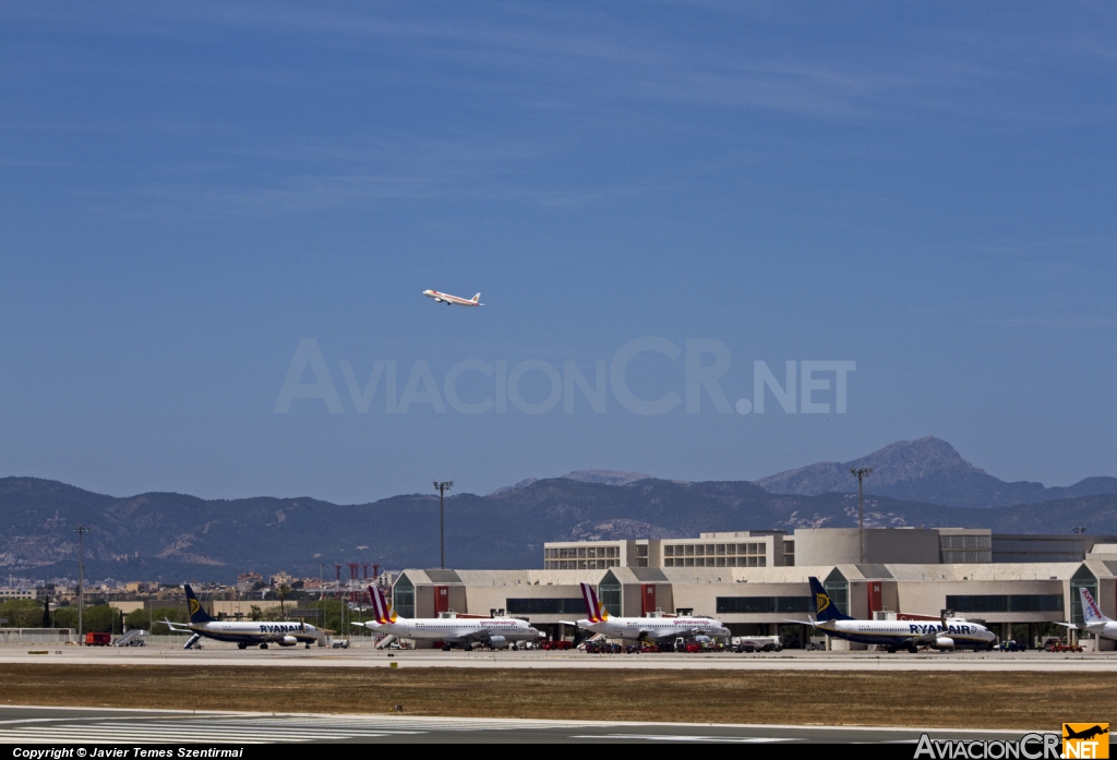 LEPA - Terminal - Aeropuerto