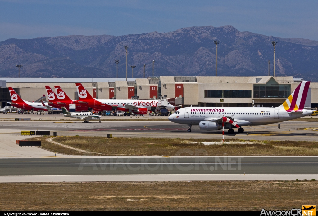 LEPA - Terminal - Aeropuerto