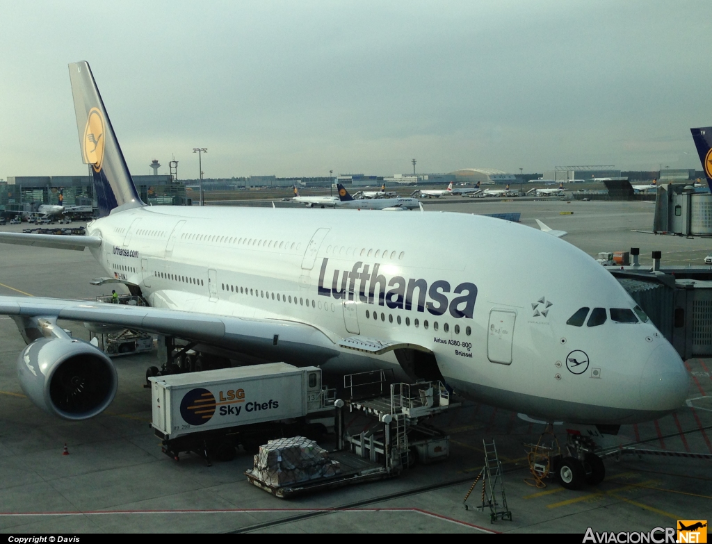 D-AIMJ - Airbus A380-841 - Lufthansa