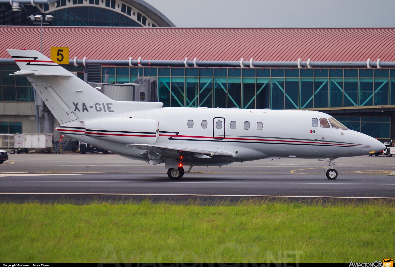 XA-GIE - British Aerospace BAe-125-800A - Privado