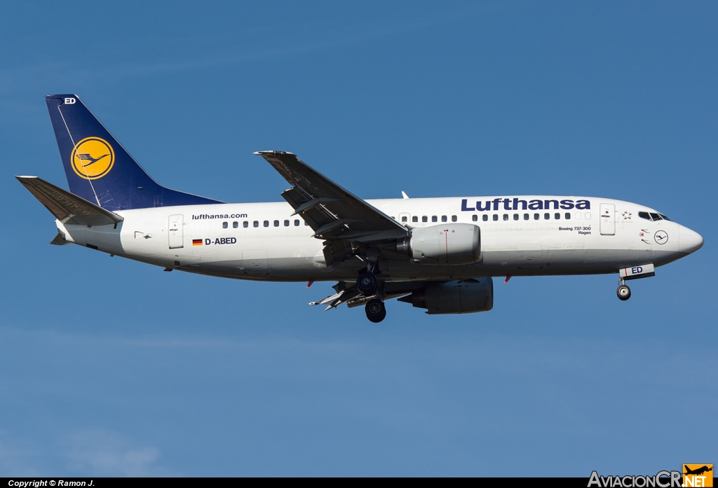 D-ABED - Boeing 737-330 - Lufthansa