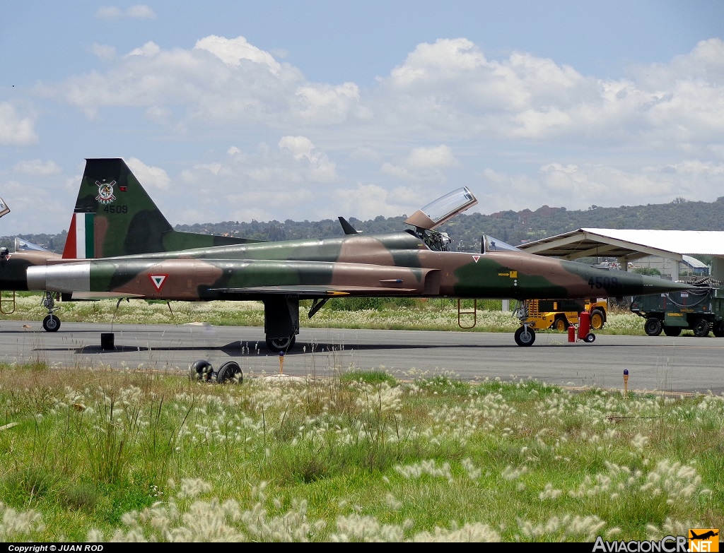 4509 - Northrop F-5E Tiger II - Fuerza Aerea Mexicana FAM