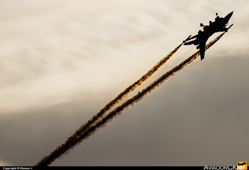 J-631 - General Dynamics F-16AM Fighting Falcon - Fuerza aérea Holandesa