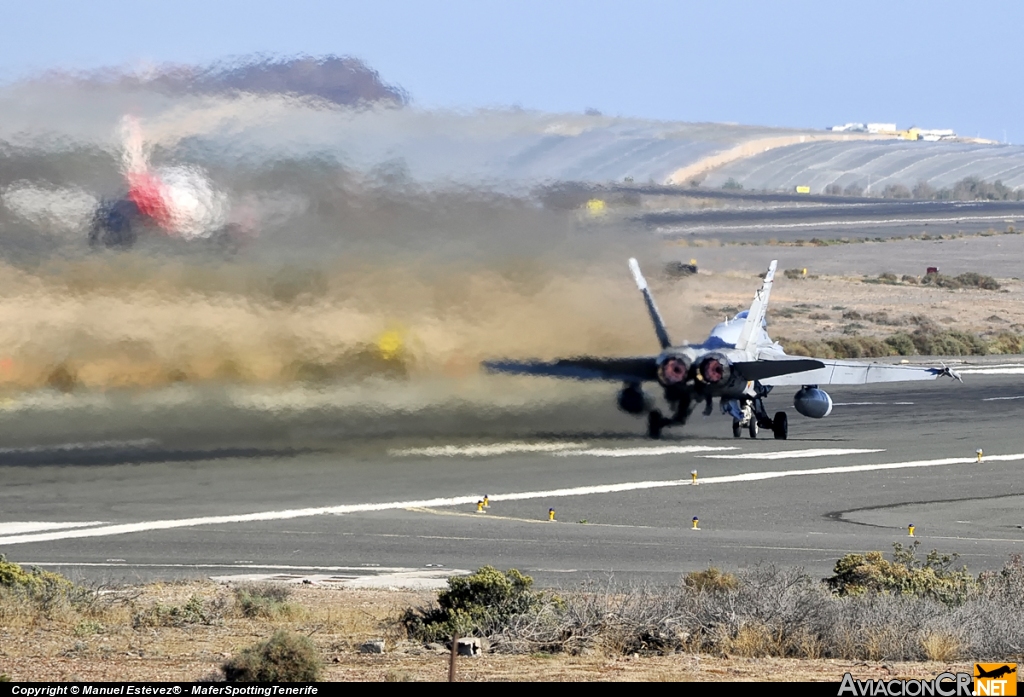 C.15-81 - McDonnell Douglas F/A 18 Hornet - Ejército del Aire Español