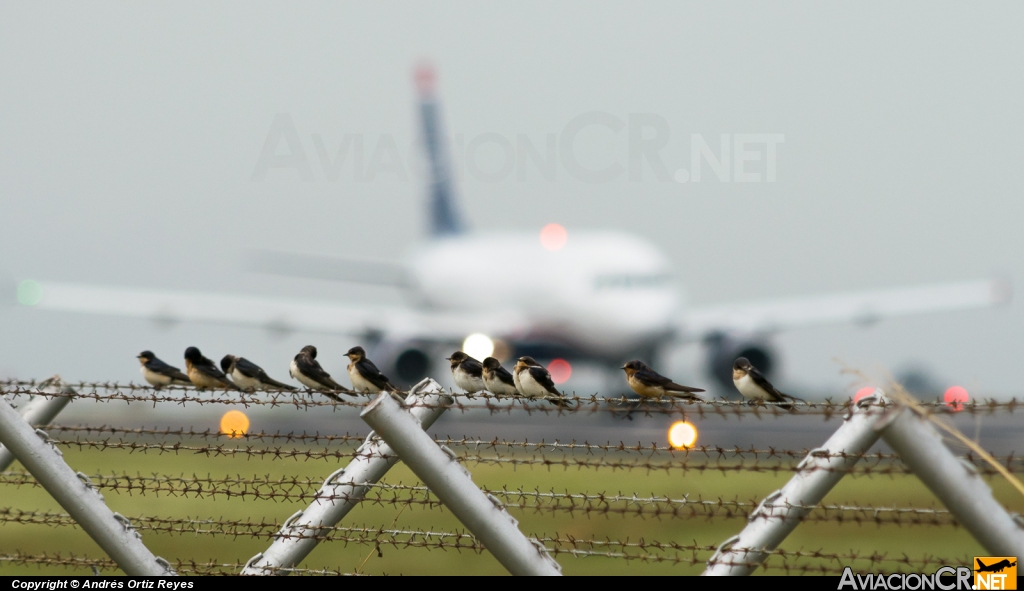 N721UW - Airbus A319-112 - US Airways